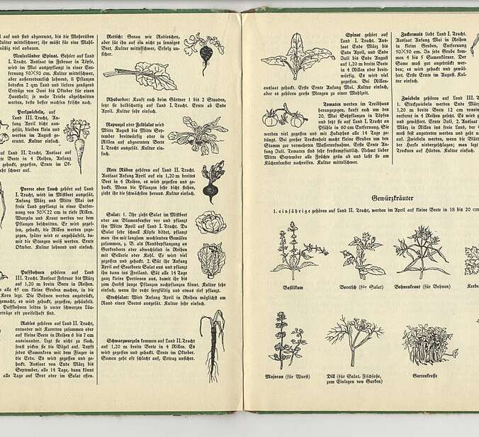 Eine aufgeschlagene Seite der Gartenfibel. Darin werden verschiedene Gemüsesorten und Kräuter vorgestellt.