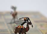 Die kamerunischen Kämpfer reiten auf Kamelen und sind bewaffnet mit Speeren, Pfeilen und Bögen.
